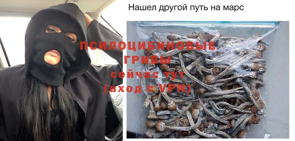 прущая мука Арсеньев
